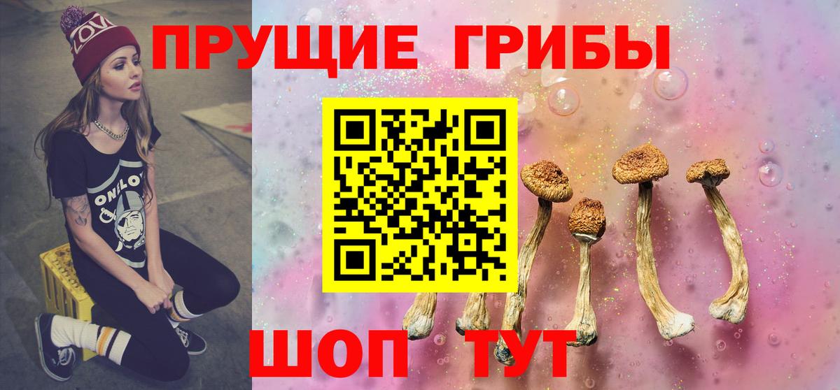 Сочи  Псилоцибиновые грибы MAGIC MUSHROOMS  Вход с VPN 